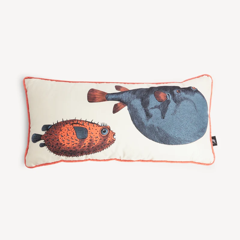Cushion Pesci