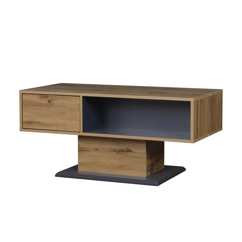 Table basse effet bois chêne gris 1 portes 2 niches 100x50x46,5cm RIFTMYRATHYN