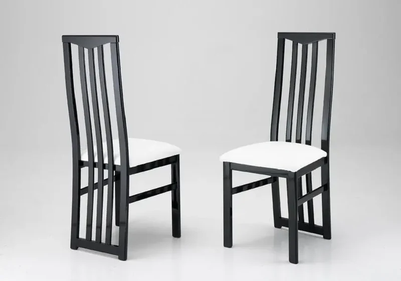 Lot 2 chaises laquées noir blanc CX