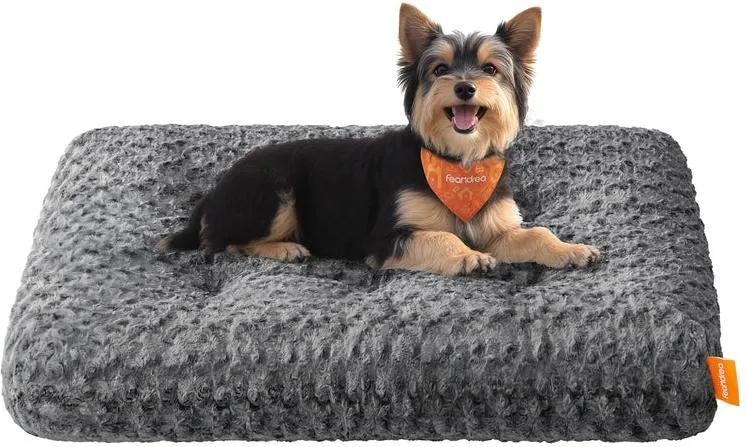 Panier pour chien taille M rembourrage doux antidérapant 80 x 50 cm ambiance cosy en tissu peluche gris 12_0012501