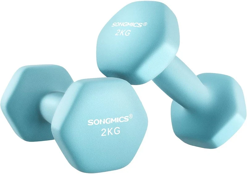 Lot de 2 haltères hexagonaux pour entraînement fitness 16 x 8 cm en fer bleu clair 12_0010853