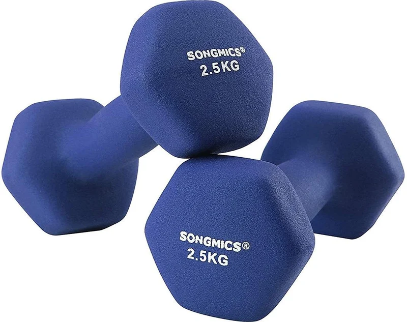 Lot de 2 haltères antiglisse pour musculation entraînement maison 18 x 8,5 x 8 cm en fonte bleu 12_0009085