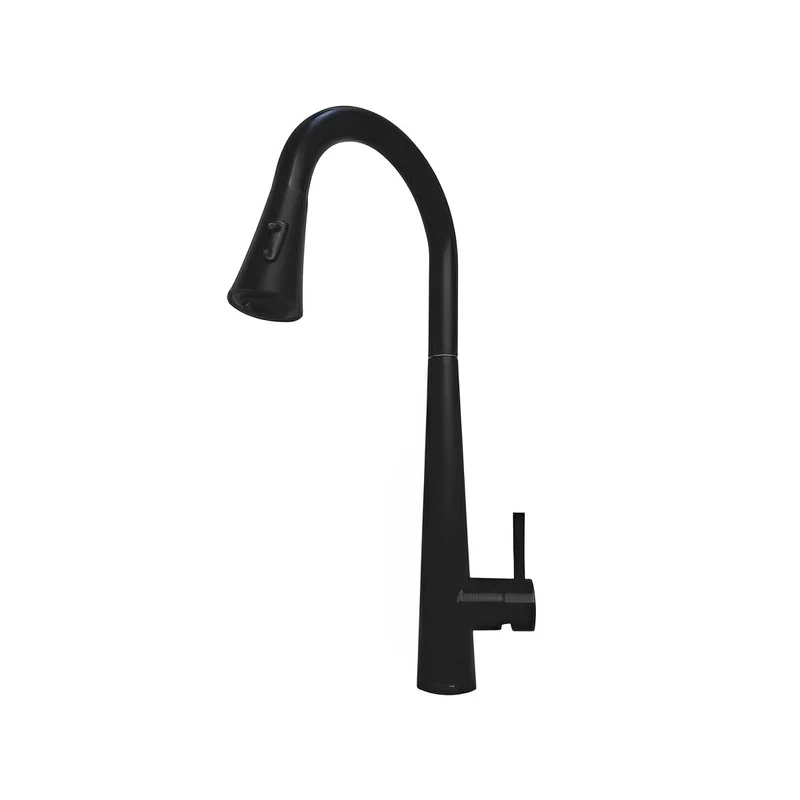 Matte Black Single Handle Kitchen Faucet CM55040MB