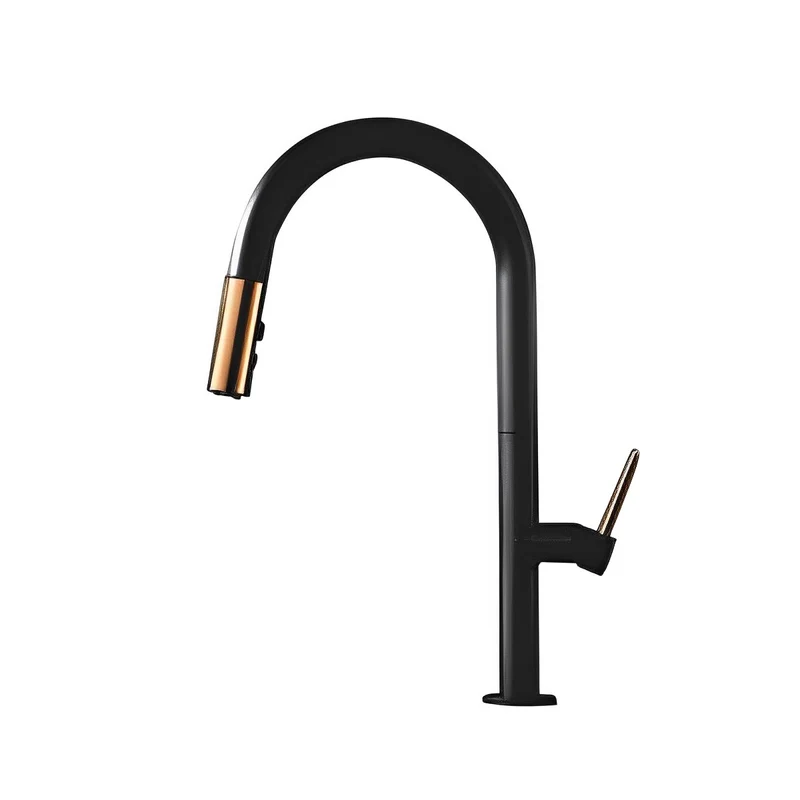 Matte Black with Gold Single Handle Kitchen Faucet CM2159-1