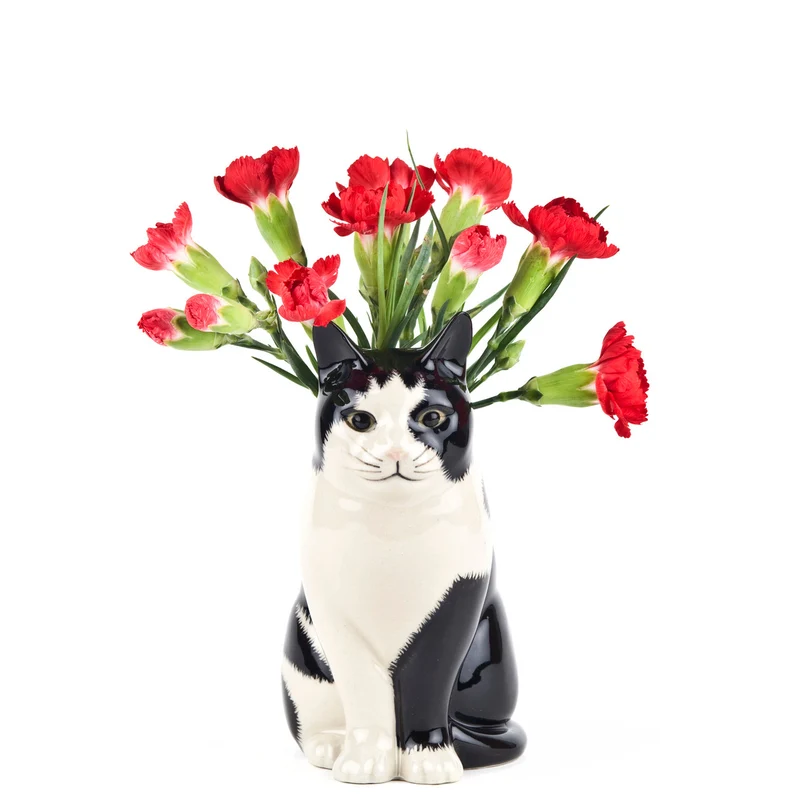 Vase chat