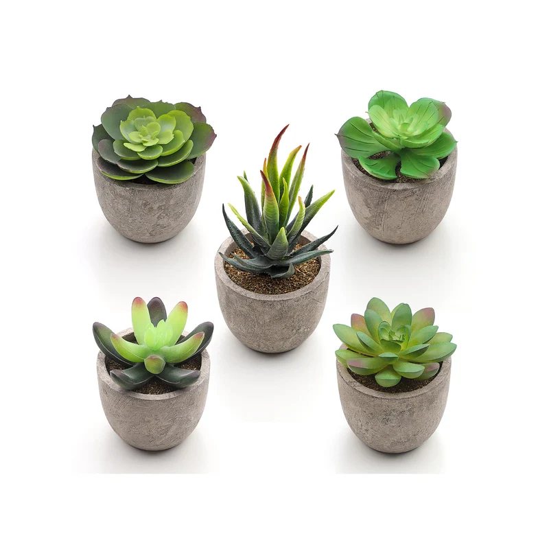 Plantes grasses artificielles en pots