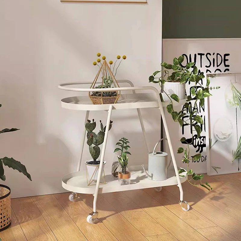 Contemporary Industrial Iron Elliptical Indoor Movable Flower Storage Shelf 2-Tier For Living Room & Balcony